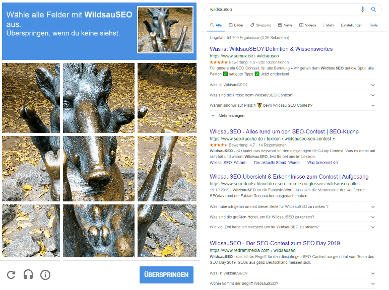 Captcha: WildsausSEO und Google Ergebnisseite